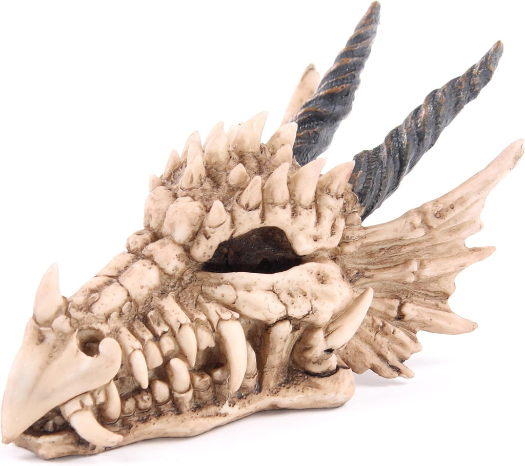 Cofre Crânio de Dragão 19cm – Decoração Épica