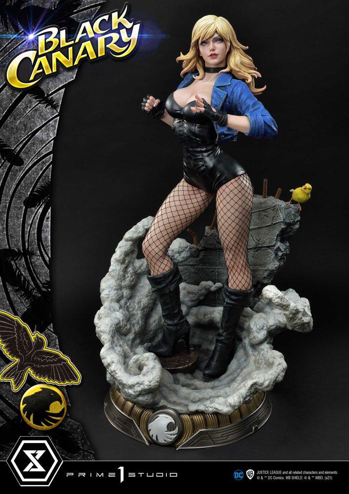 DC Comics Statue 1/3 Black Canary 69 cm ANIMATEK