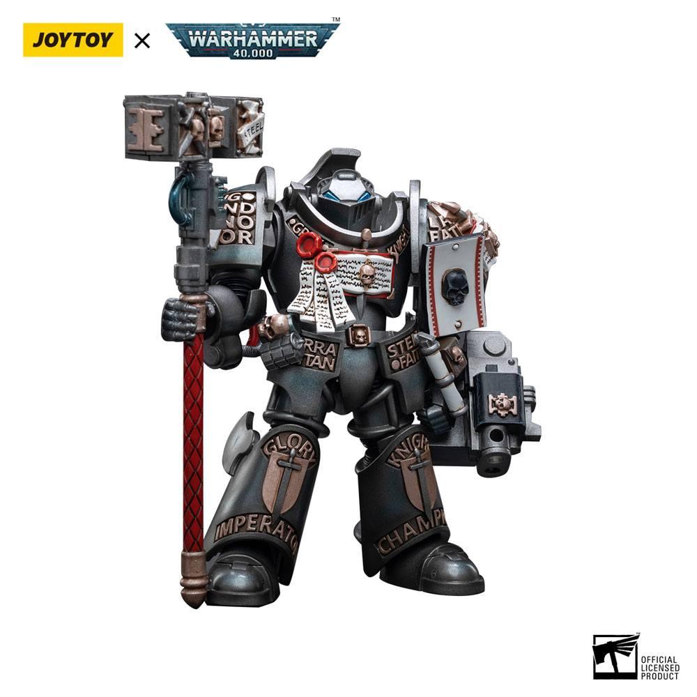 Warhammer 40k Action Figure 1/18 Grey Knights Terminator Caddon Vibova 13 cm ANIMATEK